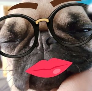 Meet your Posher, Dennis